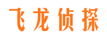 渭城侦探公司